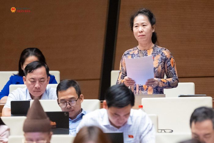 ĐBQH Tô Ái Vang (TP. Cần Thơ) phát biểu