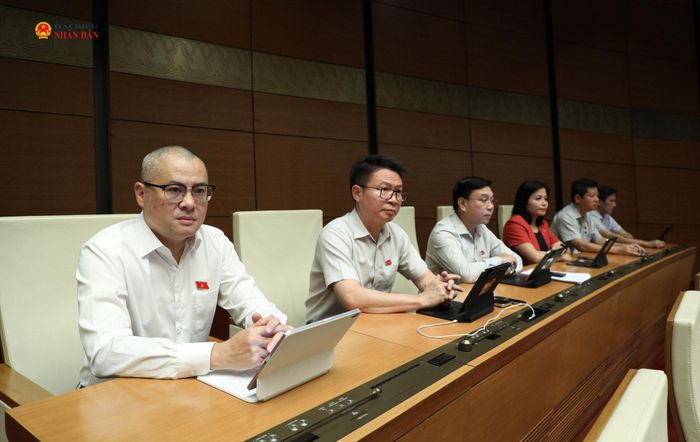 Các đại biểu dự phiên họp