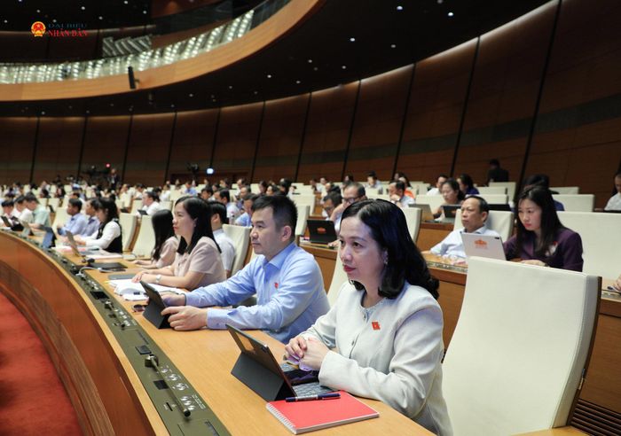 Các đại biểu dự phiên họp