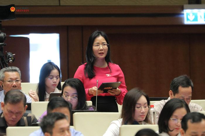 ĐBQH Nguyễn Thị Minh Tú (Nghệ An) phát biểu