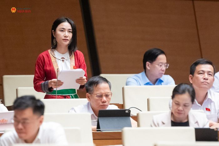 ĐBQH Nguyễn Lê Ngọc Linh (Thanh Hóa) phát biểu