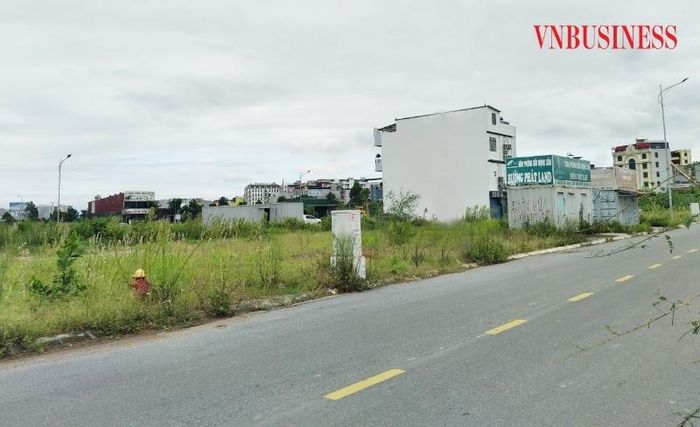 Đất đấu giá đã dần qua thời "hét giá", đầu tư lướt sóng.