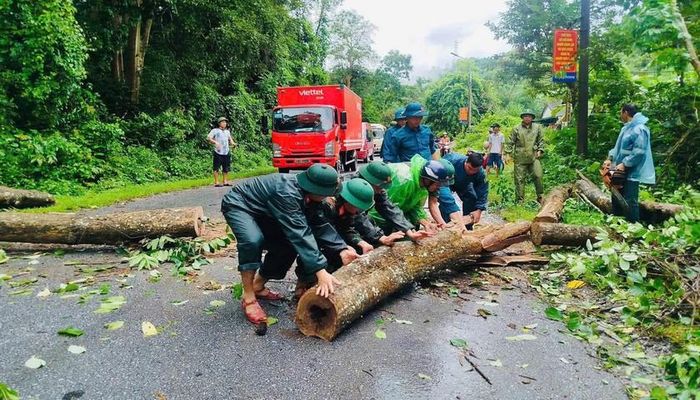 Một cây săng lẻ đổ chắn ngang Quốc lộ 7A được các lực lượng giải toả.