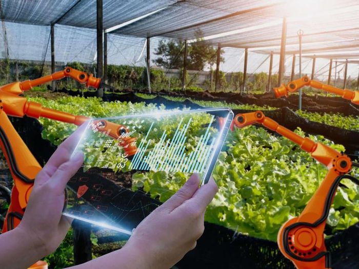 Ứng dụng công nghệ truy xuất nguồn gốc góp phần nâng cao tính minh bạch và niềm tin của người tiêu dùng đối với sản phẩm. (Ảnh: Internet)