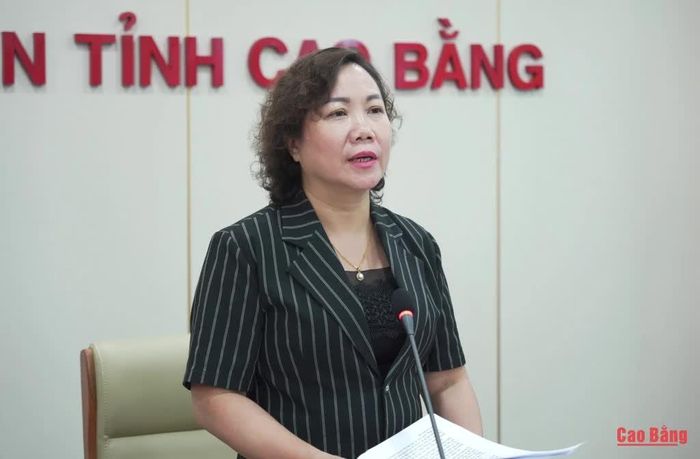 Phó Chủ tịch UBND tỉnh Hà Nhật Lệ phát biểu kết luận cuộc họp.