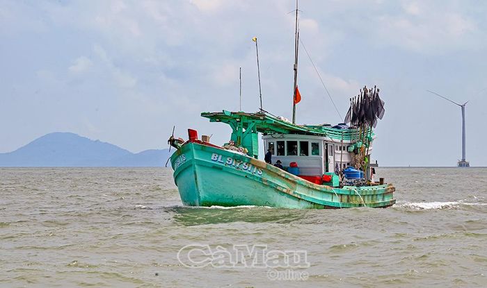 Với quyết tâm cao và sự đồng thuận, vào cuộc trách nhiệm của ngư dân, 100% tàu cá của Cà Mau đều lắp thiết bị VMS, đồng bộ tín hiệu lên hệ thống giám sát tàu cá.