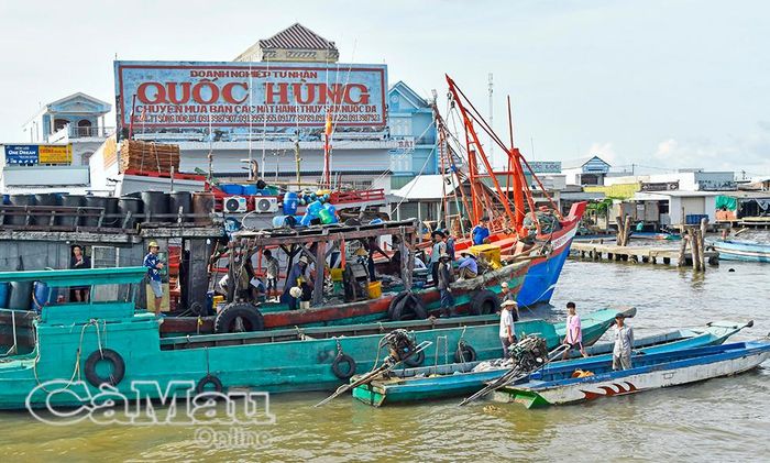 Sông Đốc hiện có 11/11 bến cá báo cáo đầy đủ sản lượng, số lượng tàu cập bến mỗi tháng 1 lần cập nhật lên hệ thống Quản lý sản lượng của tỉnh, không phát hiện trường hợp thu mua từ tàu cá vi phạm.