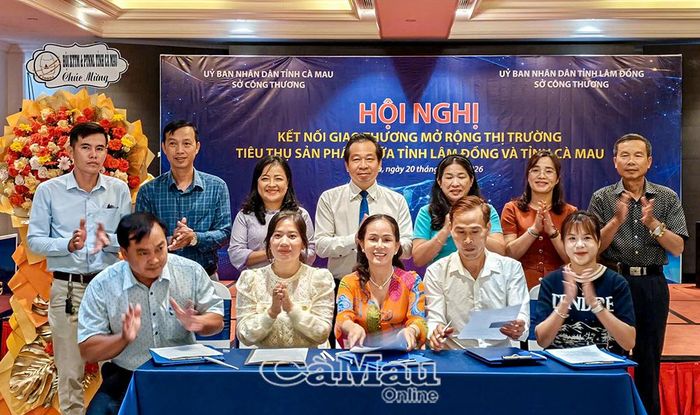 Doanh nghiệp hai tỉnh Cà Mau và Lâm Đồng ký kết hợp tác.