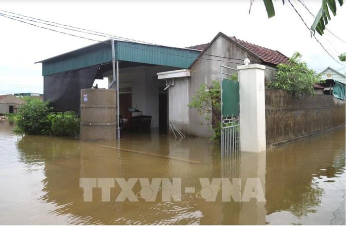 Nhà dân tại khu vực Đồng tháng 5 (xóm Hải Bắc và Quyết Thành cũ, xã Diễn Châu) bị ngập sâu, nước tràn qua cổng, ngập sân và vào trong nhà. Ảnh: Xuân Tiến - TTXVN.