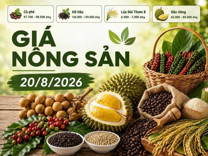 Giá nông sản hôm nay 20/8: Cà phê lên 98.500 đồng/kg, sầu riêng chênh tới 20.000 đồng/kg. Ảnh minh họa được tạo với sự hỗ trợ của AI.