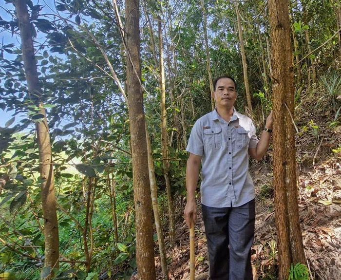 Ông Bnướch Ngang, thôn A Duông, xã Đông Giang đã chuyển đổi gần 1 ha diện tích rừng sang trồng cây gỗ lớn.
