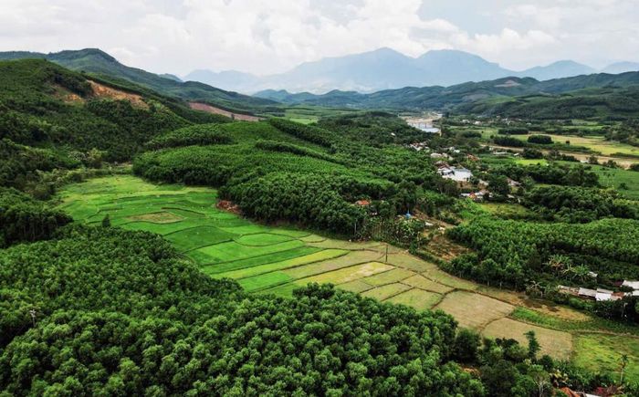 Trồng rừng gỗ lớn vừa nâng giá trị kinh tế, cải thiện sinh kế, vừa tăng khả năng bảo vệ đất, giữ nước và giảm thiểu tác động của thiên tai.