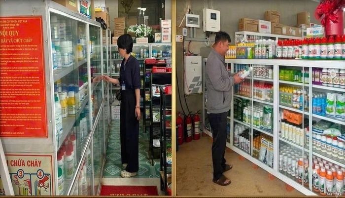 Đoàn kiểm tra của xã Tuy Đức đã kiểm tra 14 cơ sở kinh doanh vật tư nông nghiệp