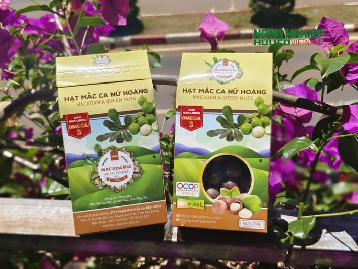 Hạt mắc ca Nữ Hoàng (Macadamia Queen Nuts) của Công ty TNHH MTV Mắc ca Đắk Nông (OCOP 3 sao)