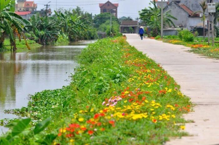 Ảnh minh hoạ