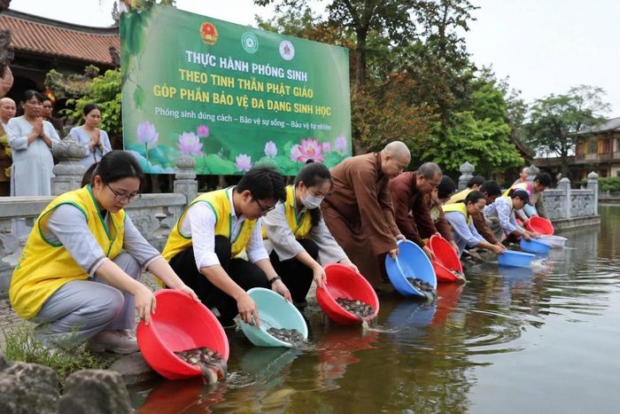 Phóng sinh nếu được thực hiện đúng cách, đúng đối tượng và đúng quy định có thể trở thành một hoạt động mang ý nghĩa nhân văn, góp phần nâng cao nhận thức về bảo vệ sự sống. Ngược lại, việc tự ý mua, bán, vận chuyển hoặc thả động vật không phù hợp với môi trường tự nhiên có thể gây tác động tiêu cực đến hệ sinh thái, thậm chí dẫn đến hành vi vi phạm pháp luật