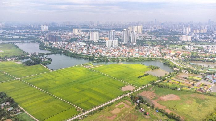 Khu đô thị Định cư tại phường Lĩnh Nam có quy mô khoảng 98 ha. Ảnh: LN