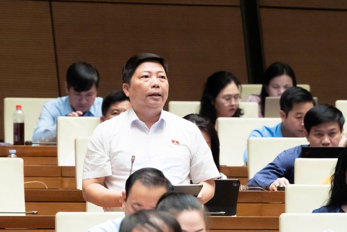Đại biểu Nguyễn Vũ Trung (Đoàn thành phố Hồ Chí Minh) thảo luận. Ảnh: media.quochoi.vn