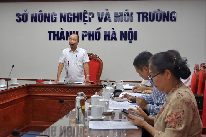 Phó Giám đốc Sở Nông nghiệp và Môi trường Hà Nội Nguyễn Đình Hoa. Ảnh: NM
