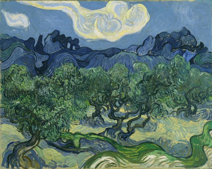  Cây ô liu của Vincent van Gogh 