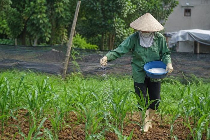 Mỗi nhóm ngành nghề đều có nguy cơ tiếp xúc với hoá chất riêng nên cần có biện pháp bảo vệ khi lao động.