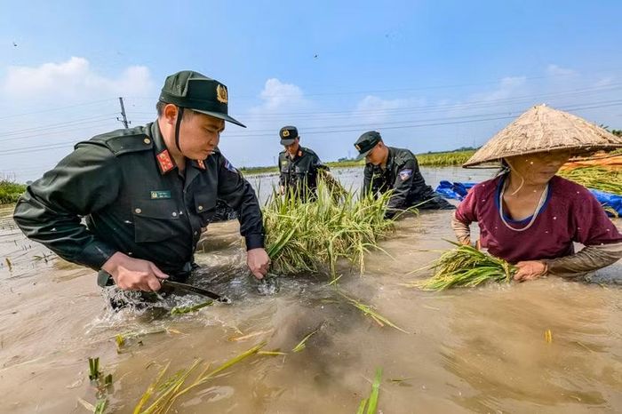 Hình ảnh Công an Thủ đô ngâm mình trong nước lũ cứu lúa giúp dân và dọn dẹp nhà của sau ngập lụt giúp dân ở Trung Giã, Sóc Sơn năm 2025 được phóng viên An ninh Thủ đô ghi lại