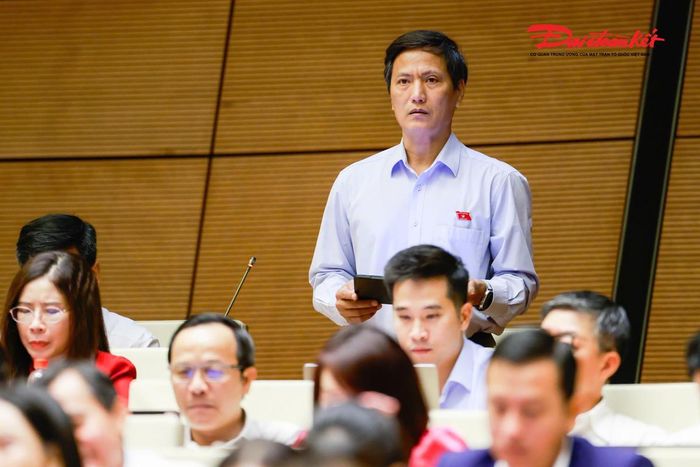 Đại biểu Quốc hội Vương Kim Ánh phát biểu (Ảnh: Quang Vinh)