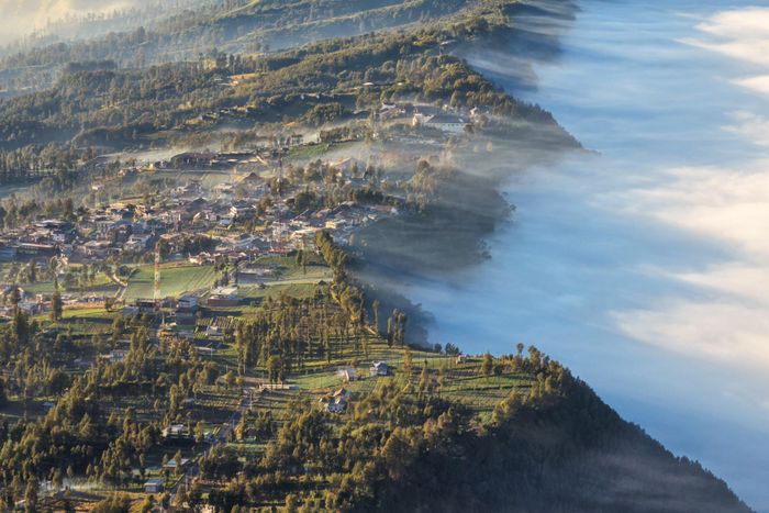  Toàn cảnh làng Cemoro Lawang, Đông Java, Indonesia, nhìn từ trên cao.