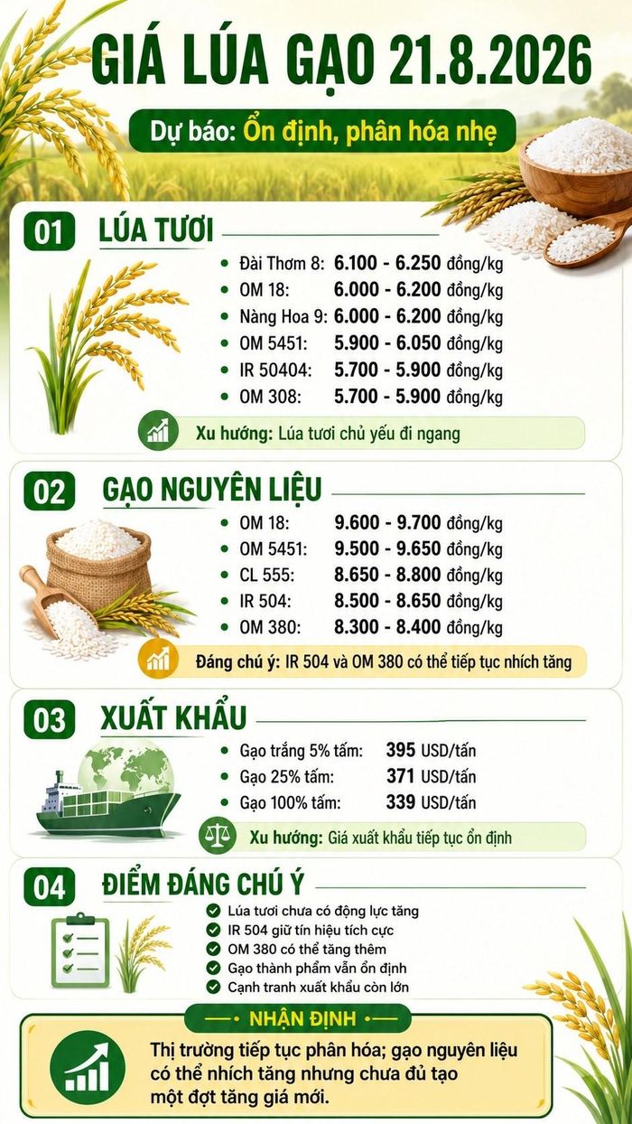 Các mức giá ngày 21.8.2026 trong phần dự báo là vùng tham khảo được phân tích từ diễn biến thị trường gần nhất; giá thực tế có thể thay đổi tùy khu vực, chất lượng hàng và thời điểm giao dịch.