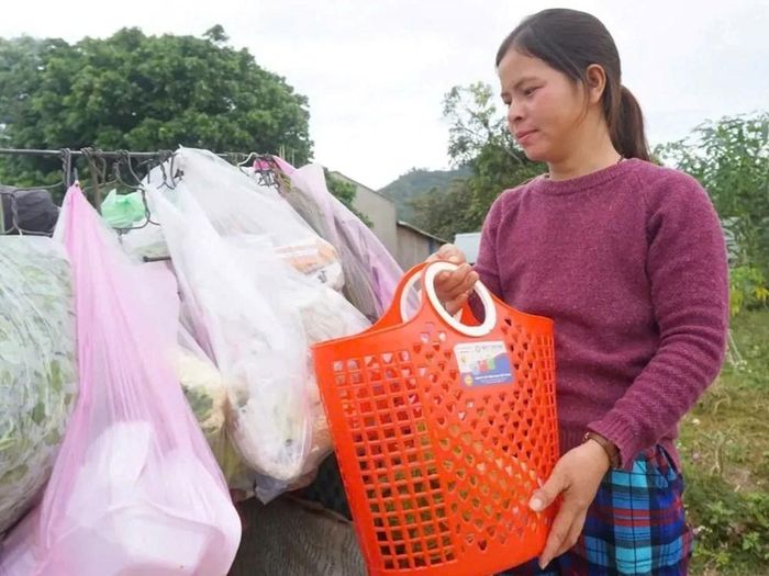 Chị Y Ngoai sử dụng giỏ nhựa thay cho túi nilon khi đi chợ