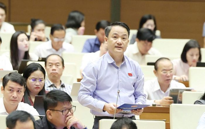 Đại biểu Lê Văn Thế (Đoàn ĐBQH tỉnh Ninh Bình) phát biểu