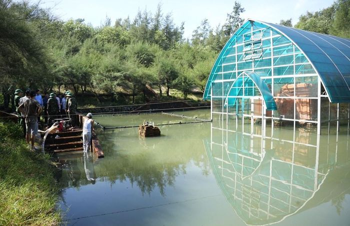 Tháp Chăm Phú Diên bị ngập úng trong đợt mưa lũ lịch sử tháng 11.2025. Ảnh: N.Minh
