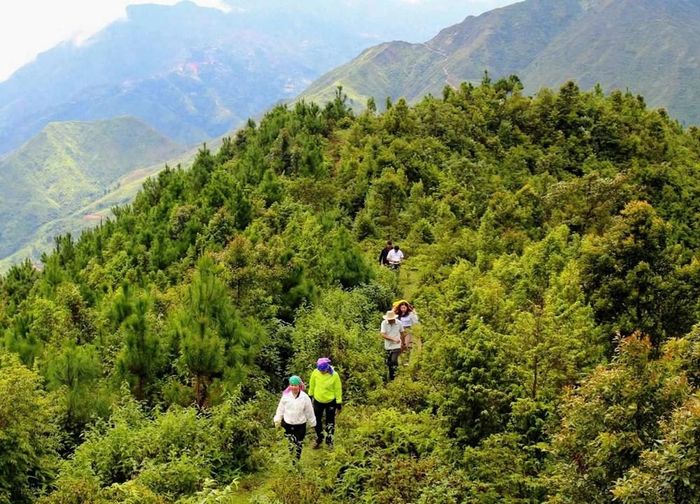 Khảo sát cung trekking giữa núi rừng Suối Tọ, hướng tới hình thành sản phẩm du lịch khám phá thiên nhiên