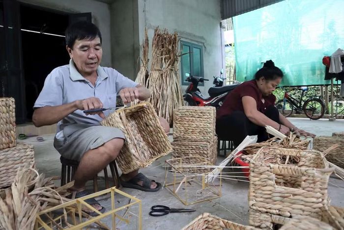 Đến nay, bốn bản ở xã miền núi Yên Na, Nghệ An đã có nghề đan bèo tây.