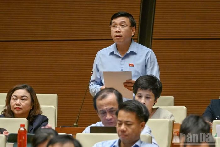 Đại biểu Nguyễn Văn Mạnh (Đoàn Phú Thọ).