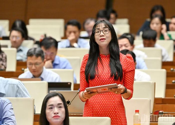 Đại biểu Trịnh Thị Tú Anh (Đoàn Lâm Đồng).