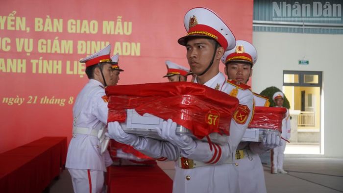 Đưa mẫu hài cốt liệt sĩ lên máy bay.