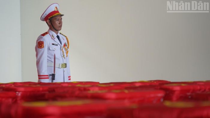 Mẫu sinh phẩm hài cốt liệt sĩ được bảo quản cẩn thận.