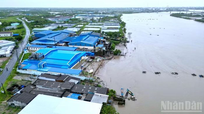 Khi công trình kè G6 triển khai sẽ giải quyết triệt để sạt lở tại “điểm nóng” Gành Hào, kết nối đồng bộ hạ tầng giao thông, tạo tiền đề để địa phương phát triển kinh tế-xã hội bền vững vùng ven biển Gành Hào của tỉnh Cà Mau. (Ảnh: HỮU TÙNG)