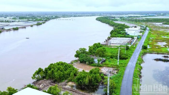 Sông Gành Hào đoạn qua ấp Canh Điền với những mảng bờ sông sạt lở ăn sâu vào hạ tầng giao thông và khu dân cư. (Ảnh: HỮU TÙNG)