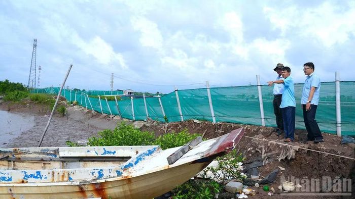 Phó Giám đốc Ban Quản lý dự án Nông nghiệp và Phát triển Nông thôn tỉnh Cà Mau Tô Văn Phết (chỉ tay), cùng cán bộ chuyên môn khảo sát hiện trạng sạt lở tại ấp Canh Điền để chuẩn bị triển khai dự án Kè G6. (Ảnh: HỮU TÙNG)