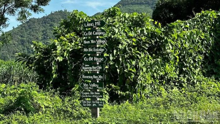  Du lịch Đà Nẵng hướng tới phát triển xanh, bền vững. 