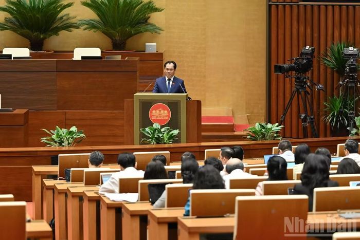 Bộ trưởng Nông nghiệp và Môi trường Trịnh Việt Hùng phát biểu giải trình. (Ảnh: THỦY NGUYÊN)