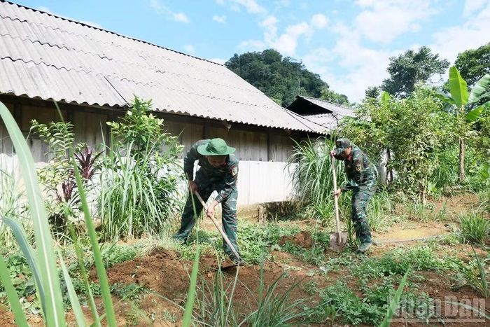 Cán bộ, chiến sĩ Đội Tìm kiếm, quy tập hài cốt liệt sĩ tìm kiếm trên đất gia đình ông Hầu Sào Chung, thôn Hoàng Lỳ Pả, xã Minh Tân.