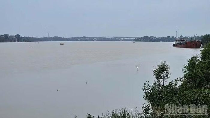 Nước trên hạ lưu sông Mã. (Ảnh: MAI LUẬN)