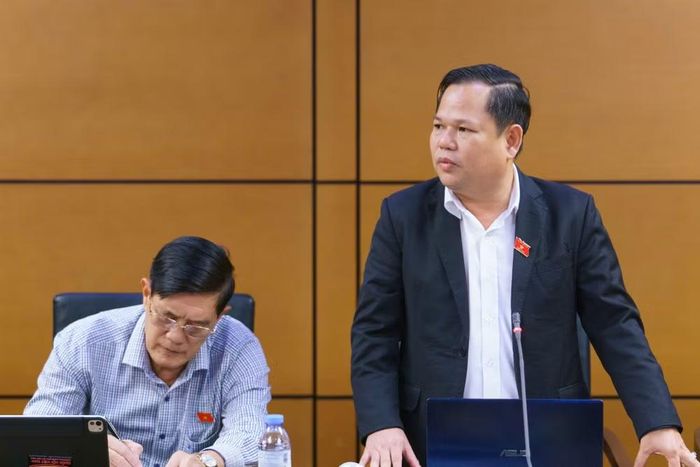 Đại biểu Nguyễn Duy Thanh (Đoàn Cà Mau). (Ảnh: QH)