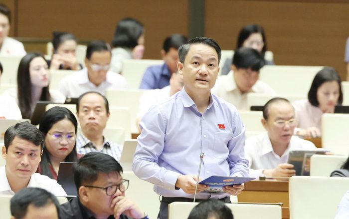 Đại biểu Lê Văn Thế (đoàn Ninh Bình) phát biểu. Ảnh: TRỌNG HẢI