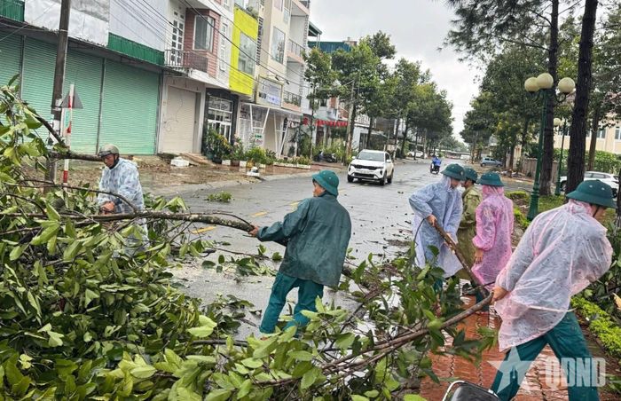 Cán bộ, chiến sĩ Ban CHQS phường 1 Bảo Lộc dọn dẹp cây xanh gãy đổ do dông lốc.