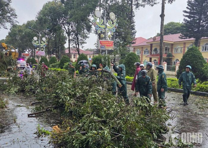 Ban CHQS xã Bảo Lâm 1 khắc phục cây xanh gãy đổ sau mưa lớn tại xã Bảo Lâm 1.