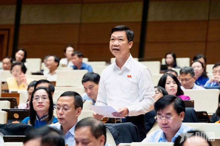 Đại biểu Phạm Đức Hoài (đoàn Lâm Đồng) phát biểu thảo luận tại hội trường. Ảnh: TRỌNG HẢI
